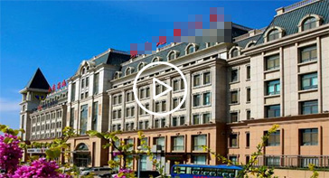 新手养鱼，养什么鱼好？